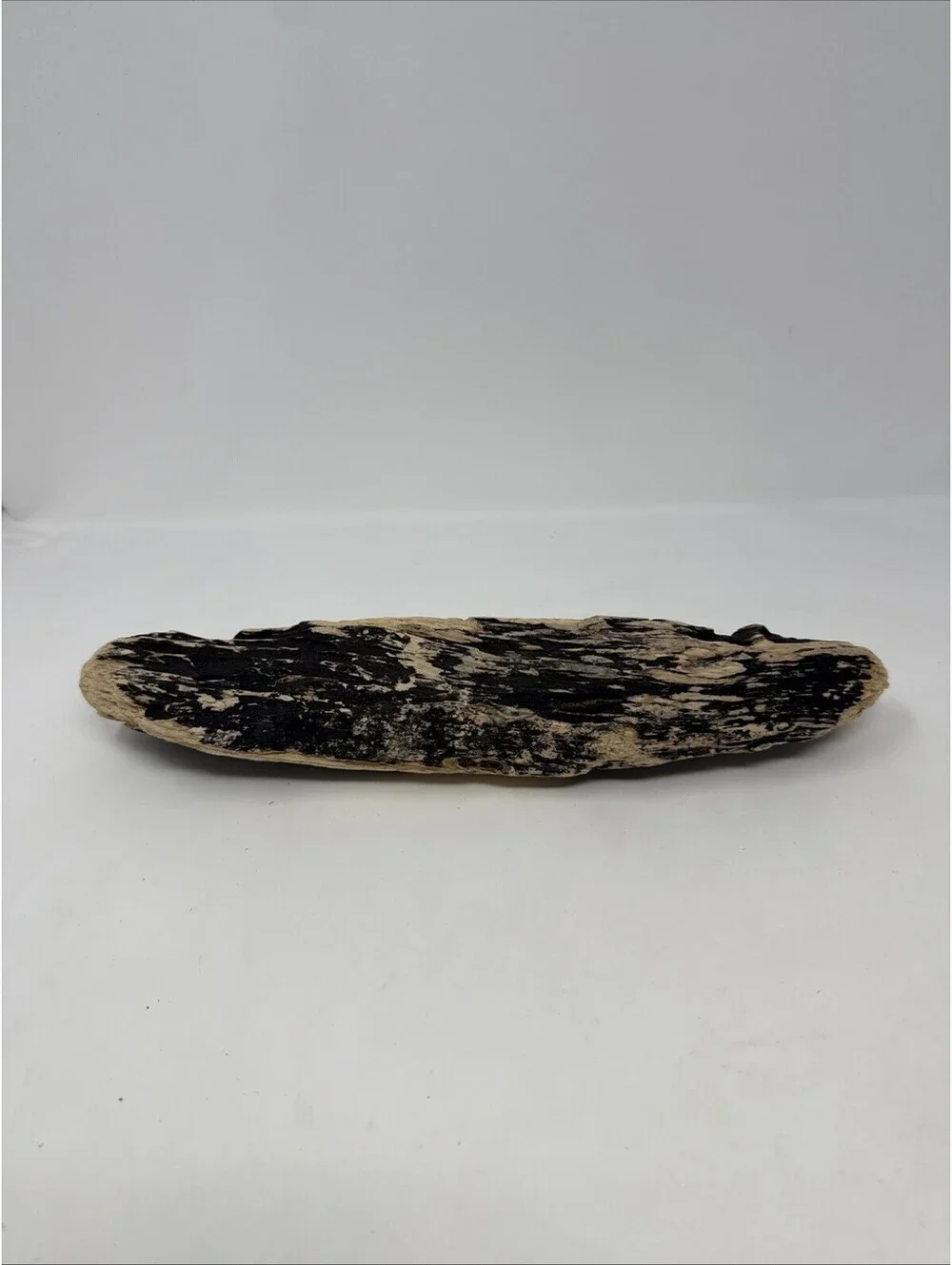12 Inch driftwood freshwater terrarium aquarium crafts